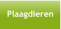 Plaagdieren