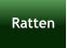 Ratten