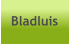 Bladluis
