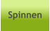 Spinnen