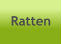 Ratten