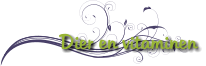 Dier en vitaminen