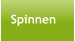 Spinnen