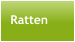 Ratten