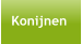 Konijnen