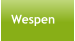 Wespen