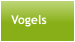 Vogels