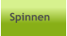 Spinnen
