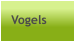Vogels